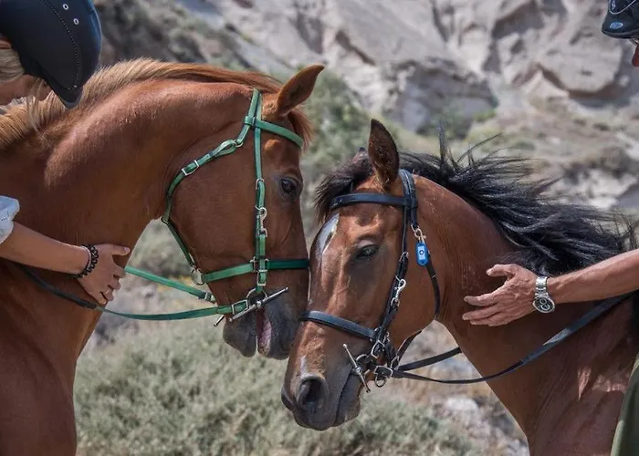 The Three Anchors Emporio (Santorini)