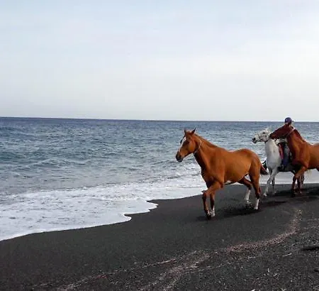 The Three Anchors فندق