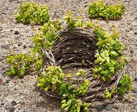 The Three Anchors Ξενοδοχείο Εμπορειό